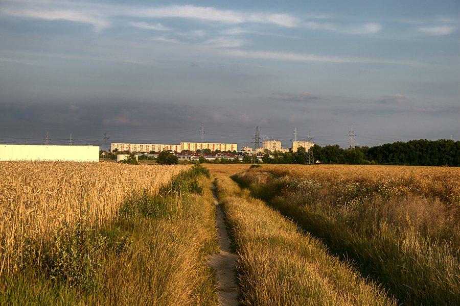 Stargard w słońcu