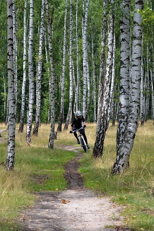 Singletrack w rejonie Lublinka