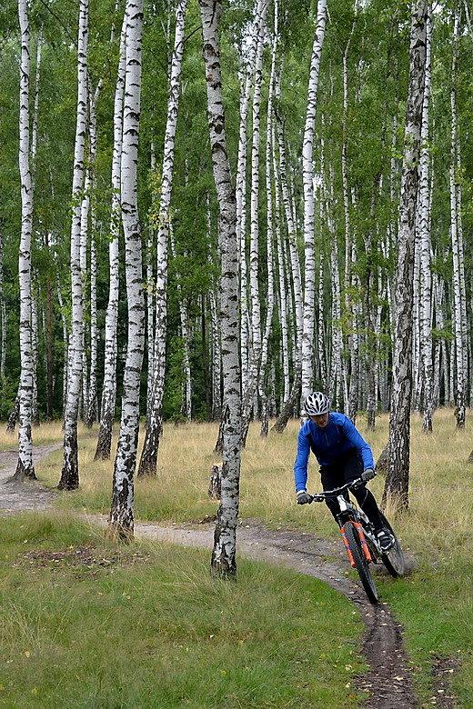 Singletrack w rejonie Lublinka