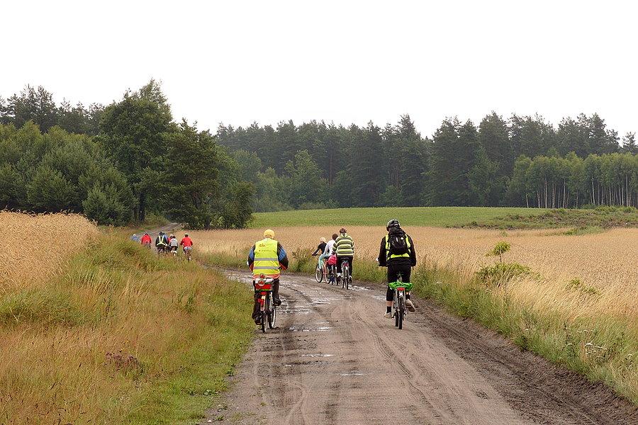 Rowerzyści na polnych drogach