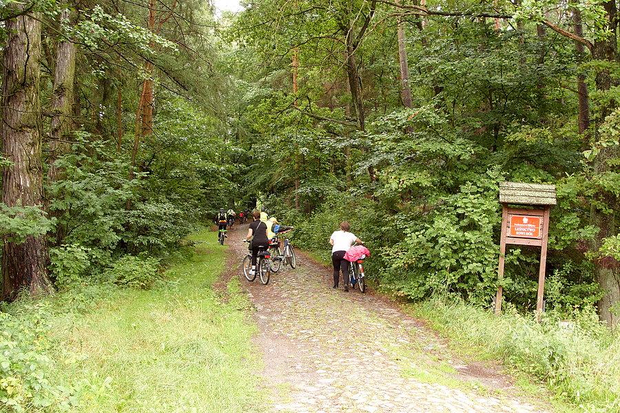 Leśnictwo "Sowi Dół"