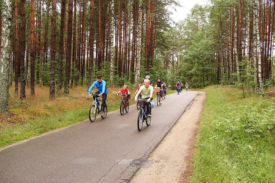 Rowerzyści na szlaku