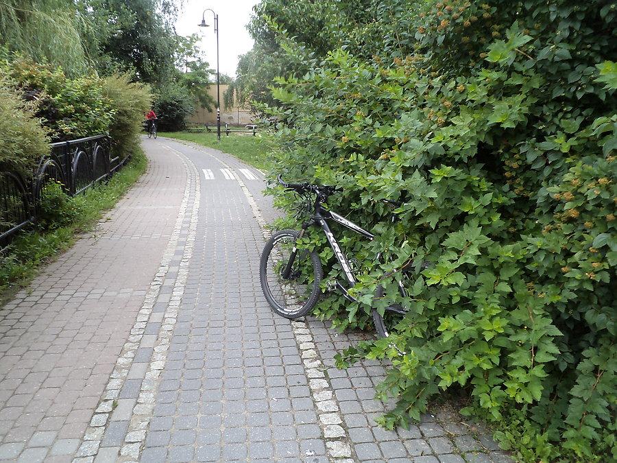 Zielona ścieżka rowerowa przy Modrej Kumieli