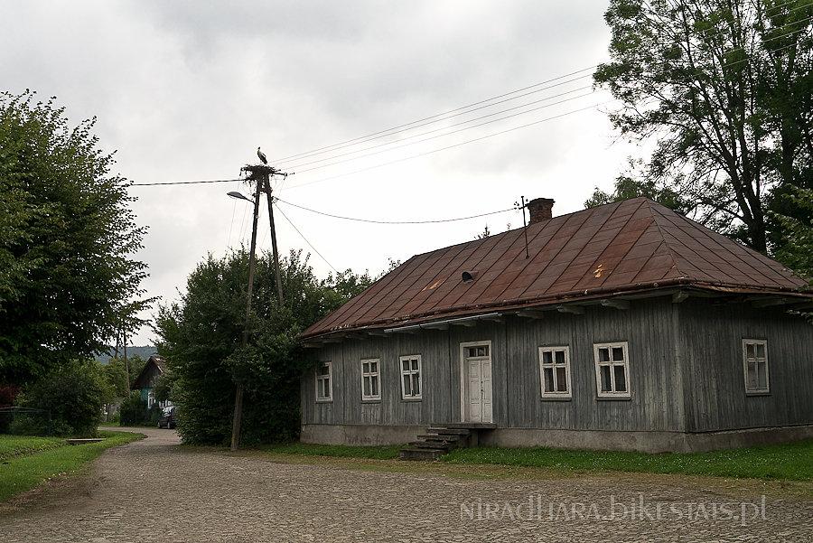 Kolejne gniazdo