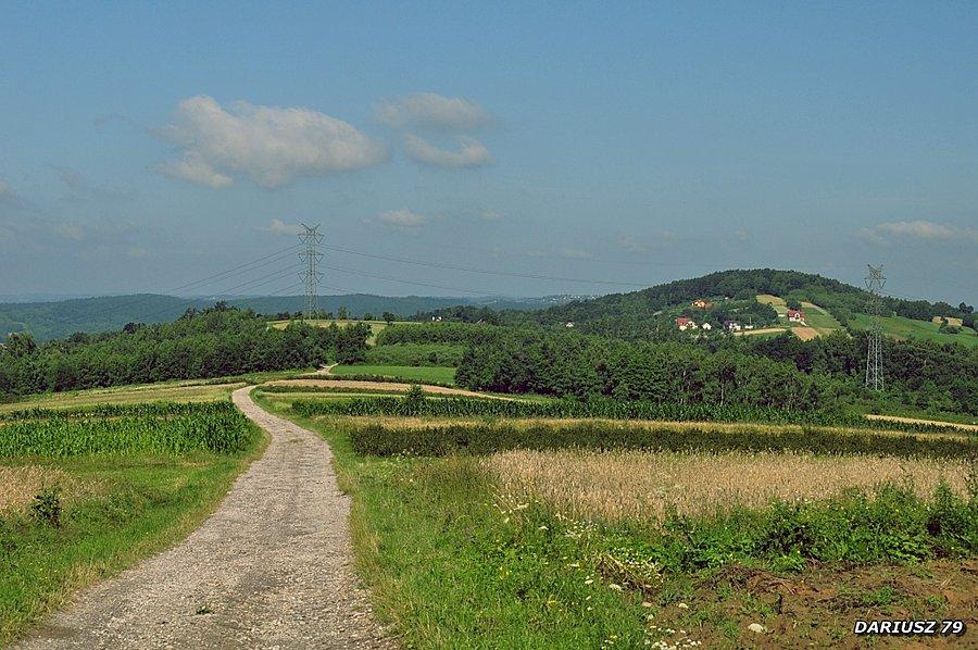 Pogórze Wiśnickie