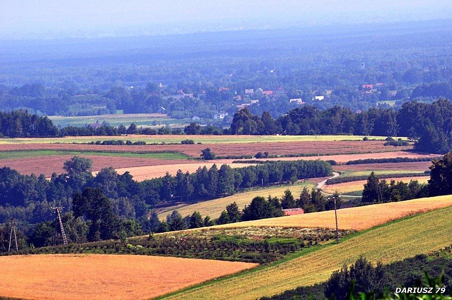 Pogórze Wiśnickie