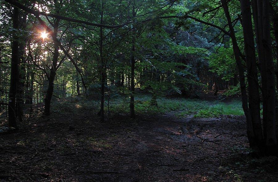 Lasem granią