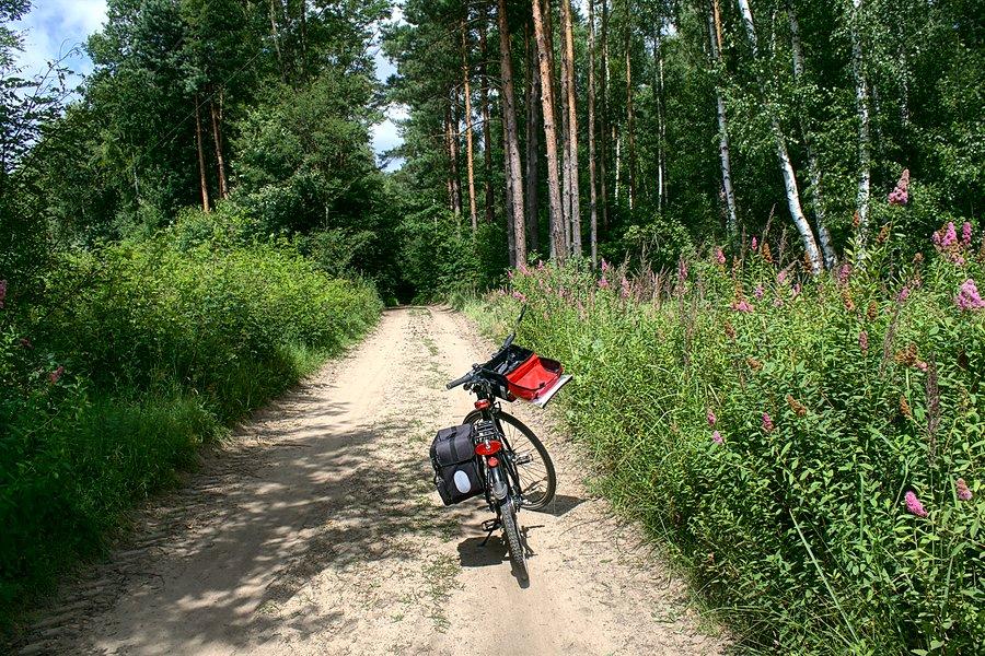 I to ma byc ul. Mokradłowa ?? :D