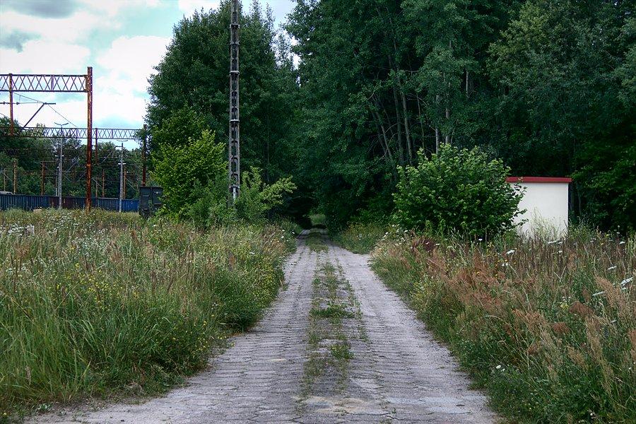 Ul. Księżnej Anny