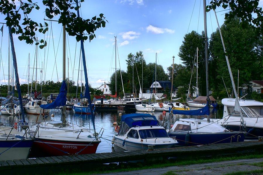 Marina Pogoń