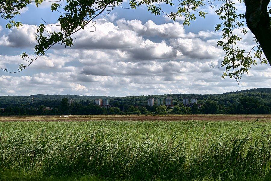 Widok na Zdroje z ul. Przestrzennej