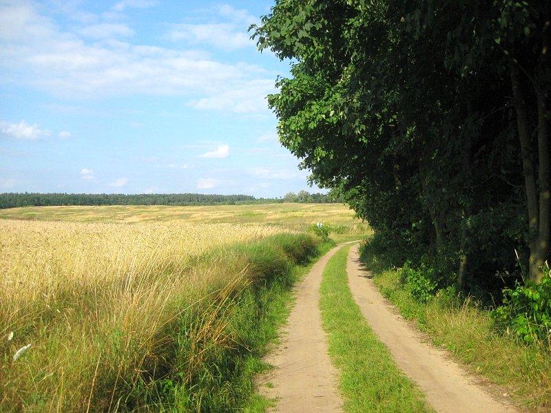 Na skraju Puszczy Zielonka