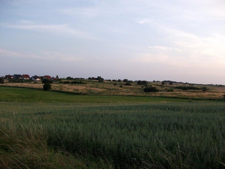 Wiejsko