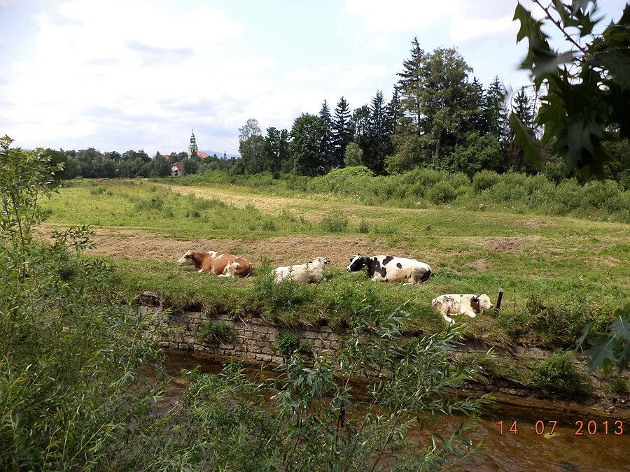 W centrum Cieplic (byłe miasto, dziś dzielnica Jeleniej Góry)... :)