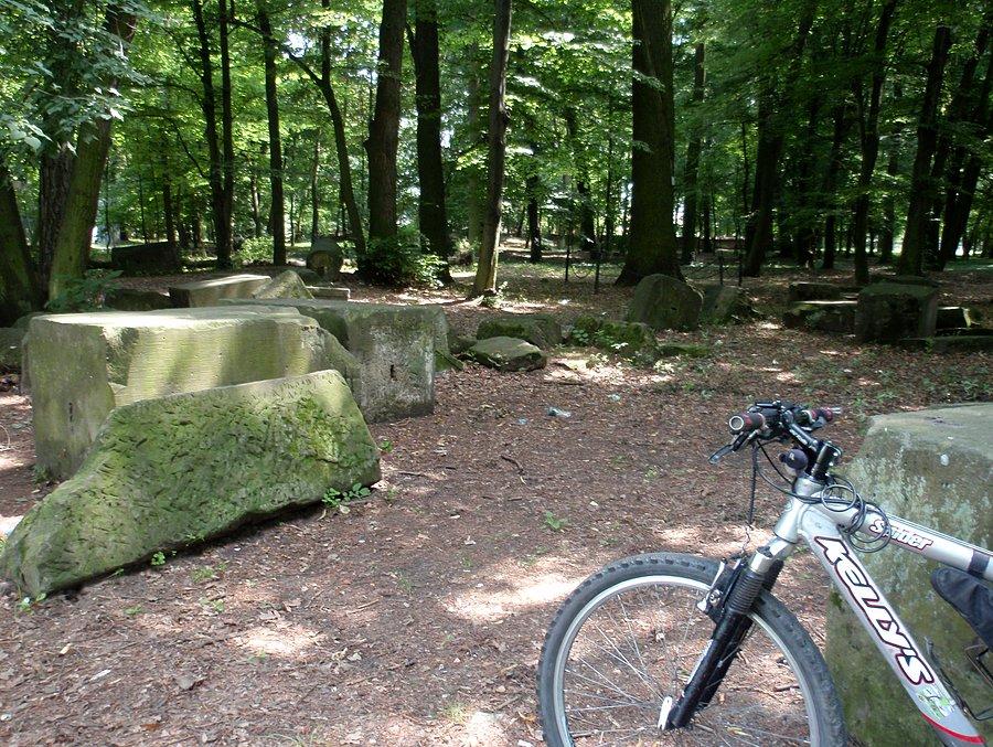 Pozostałości po zrujnowanym pałacu w Skorogoszczy