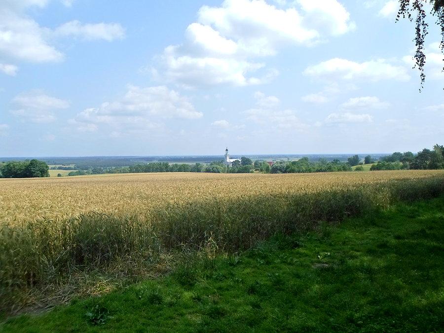 Panorama z punktu widokowego