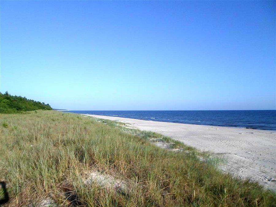 Plaża, dzika plaża - morze dookoła z wysokiego brzegu wieczór (ranek) mewy woła