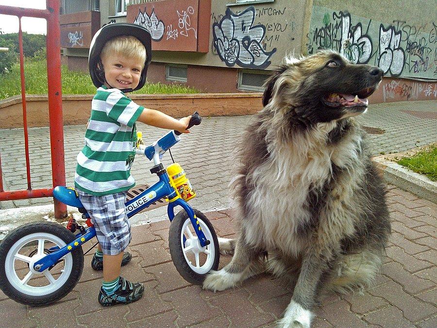 Kacper i Bestia
