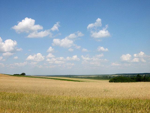 Gołuchowice