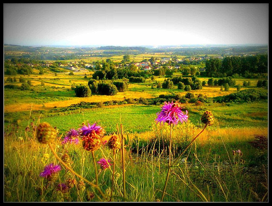 Góra Siewierska widok