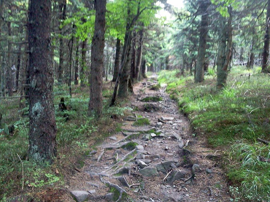 Szlak na Smrku