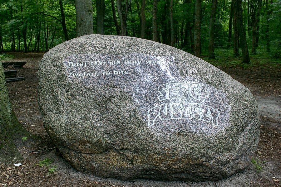 Ciekawa sentencja na głazie