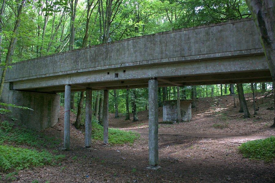 Most donikąd