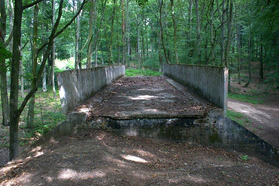 Most donikąd
