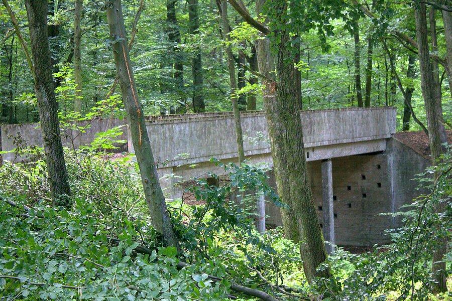 Most donikąd