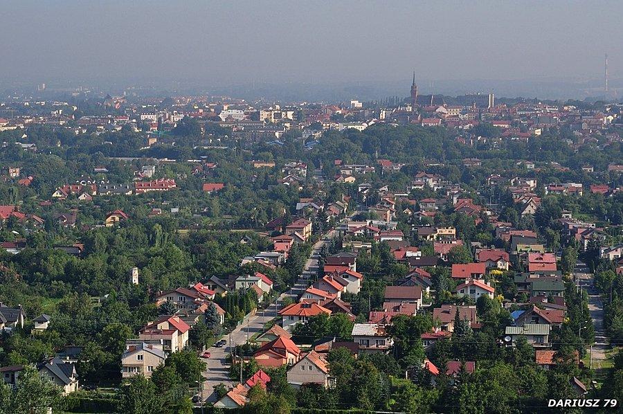 Tarnów widok ze Góry Św. Marcina (Okolice Tarnowa)