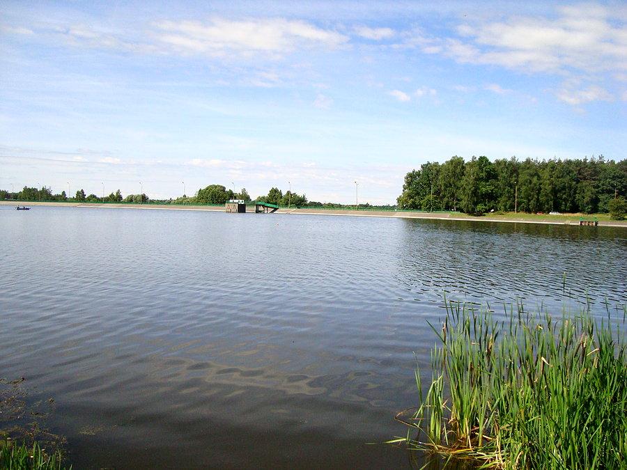 Jezioro w Kaliszu - Szałe
