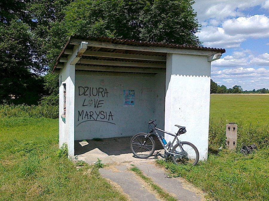 Przystanek PKS Brzegi - przed Krzyżem Wlkp
