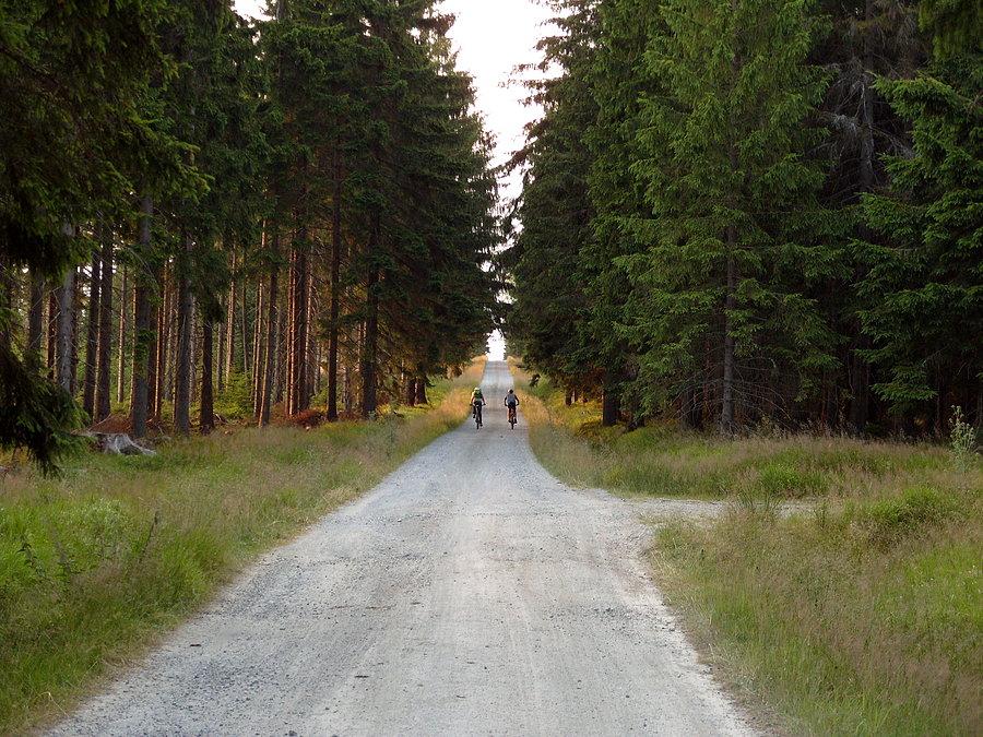 I jak zwykle mamy Feniksa gdzieś niech go wilcy zjedzą i pojechali ku zachodzącego słońca