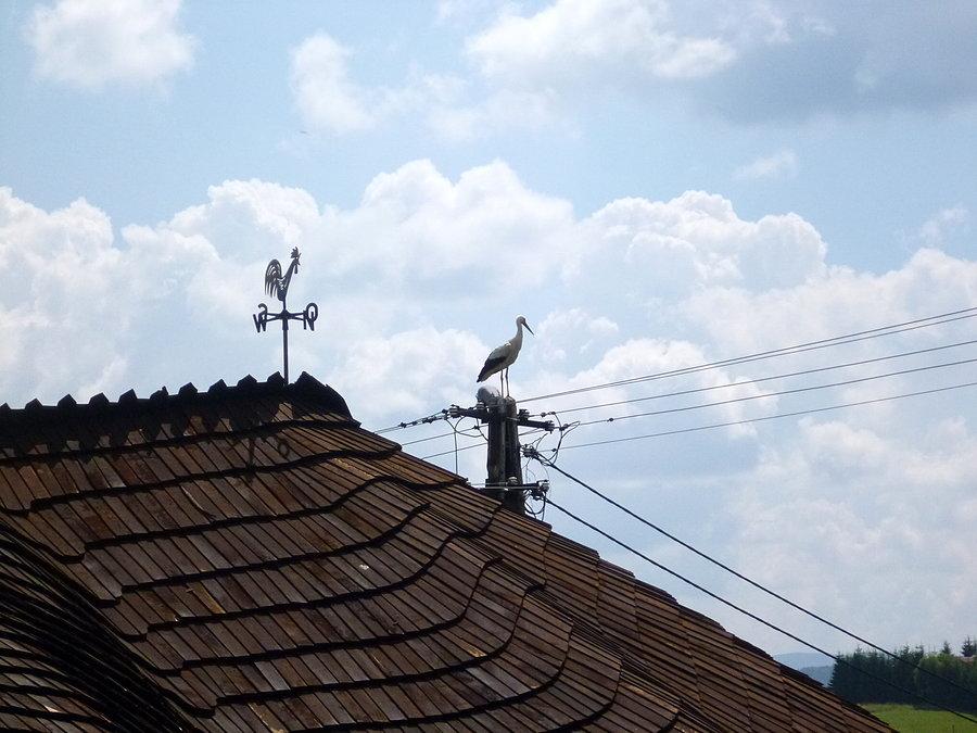 Klekoty