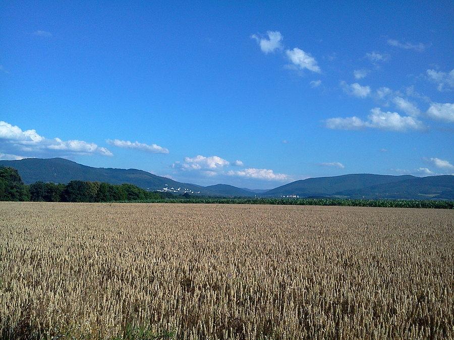 Widok na Ustroń z Kisielowa