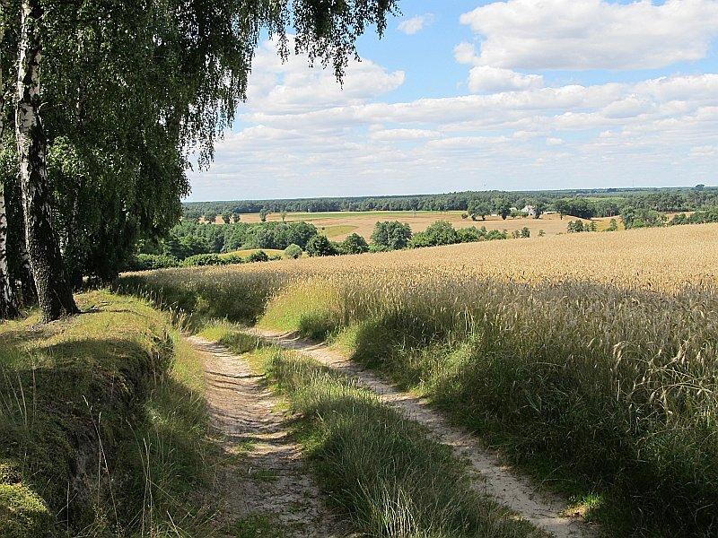 Pałuckie widoki