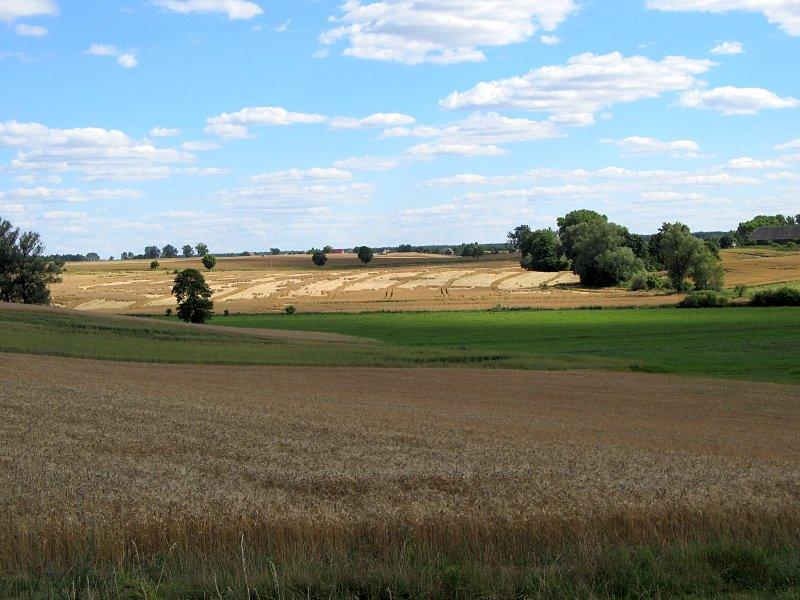 Letni, rolniczy widok Pałuk
