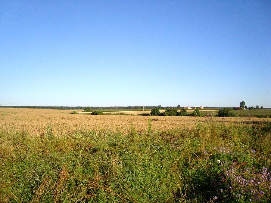 Piękny widok niedaleko Bronowa