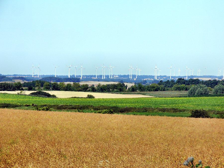 Las elektrowni wiatrowych po stronie niemieckiej