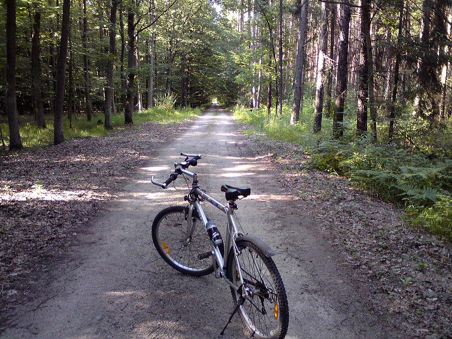 Stobrawski Park Krajobrazowy