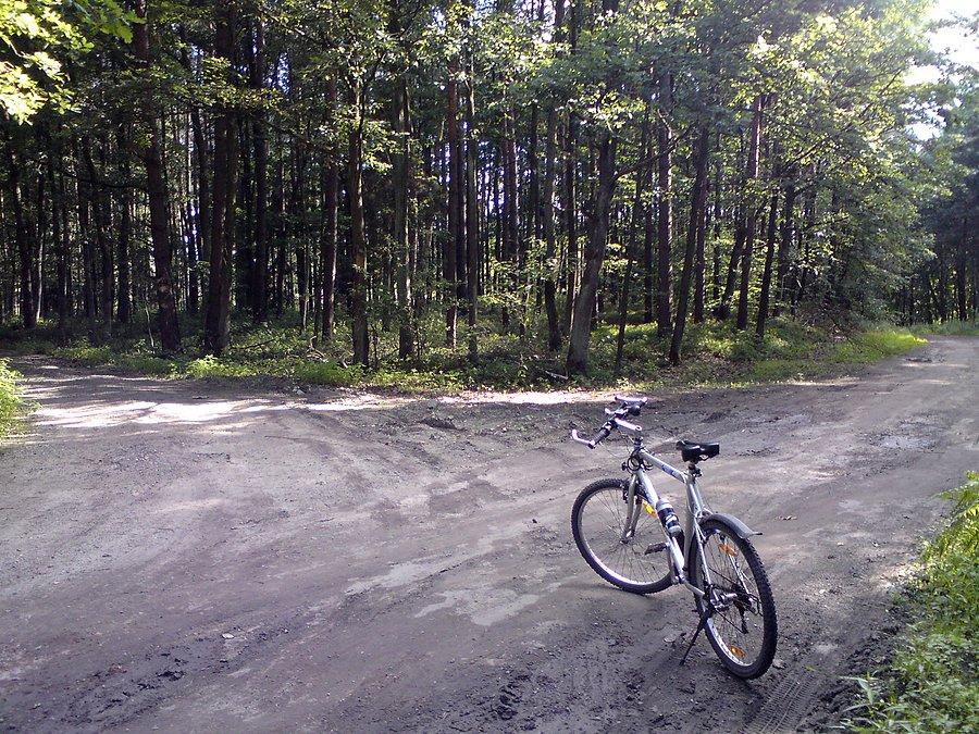 Stobrawski Park Krajobrazowy