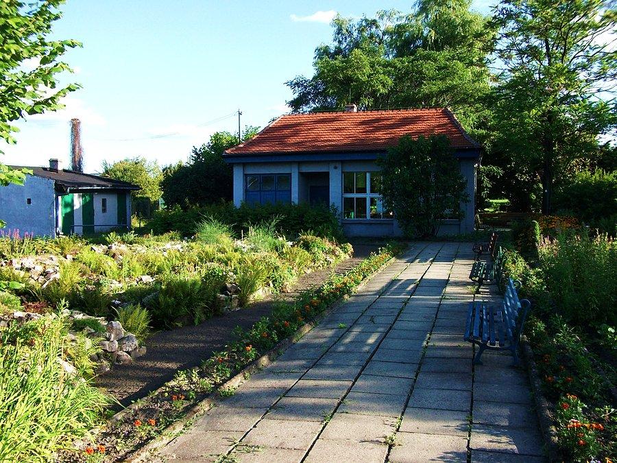 Ogród botaniczny