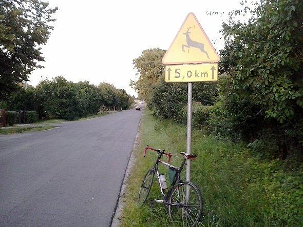 Na trasie od Prawiednik w strone Mętowa