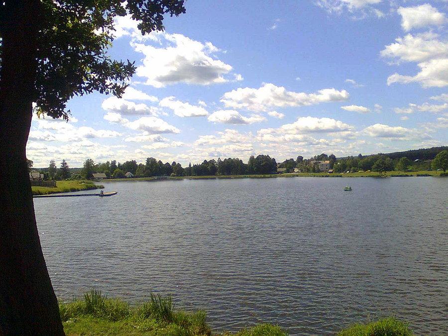 Jeziorko w Zagnańsku