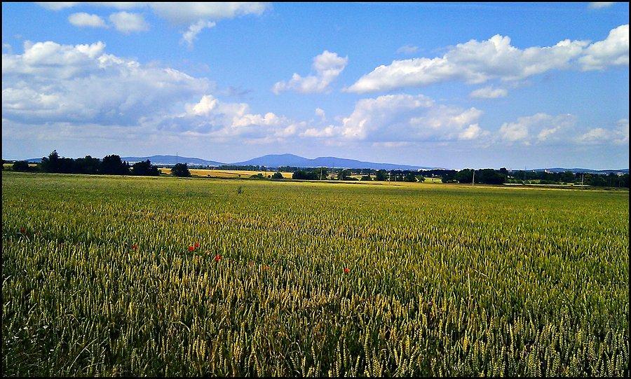 W drodze do Pieszyc; widok na Ślężę i Radunię