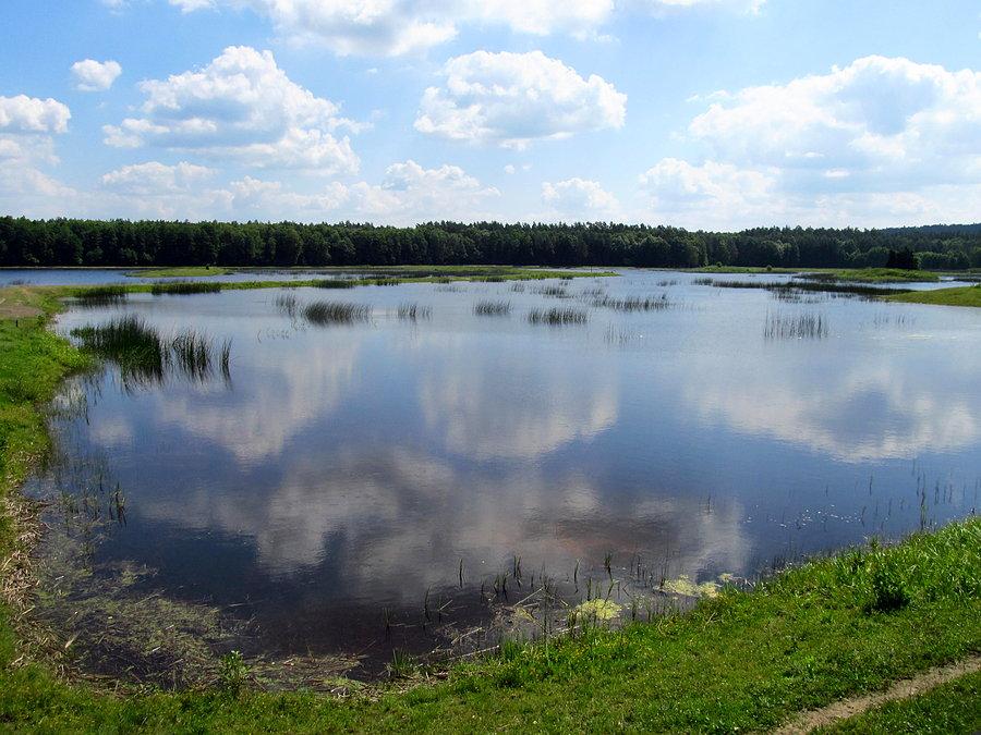 Stawy Echo