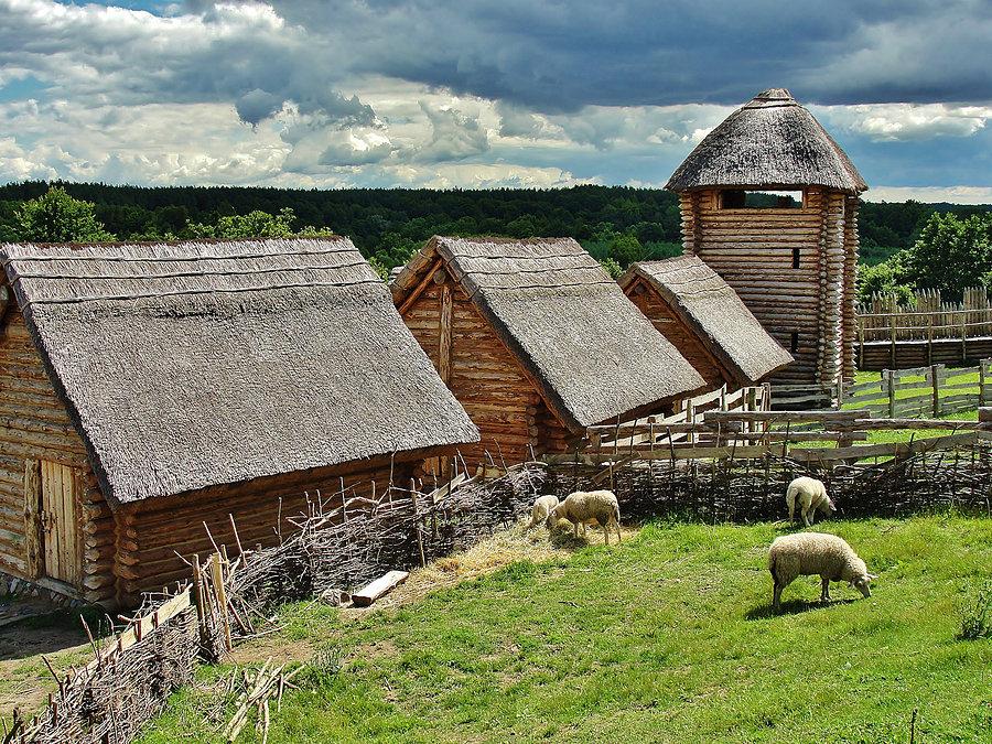 Grodzisko w Owidzu