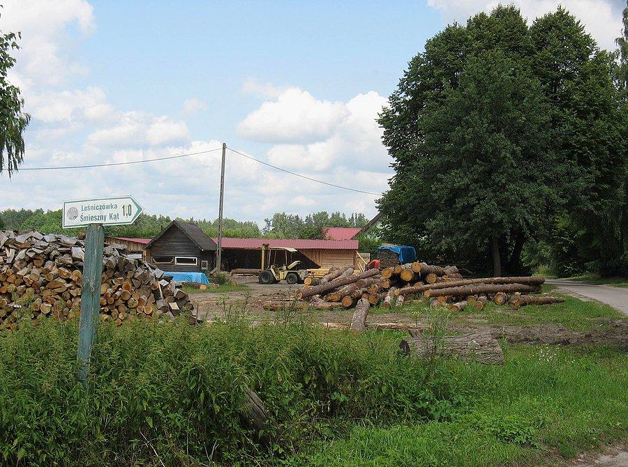 Tartak w Dągu