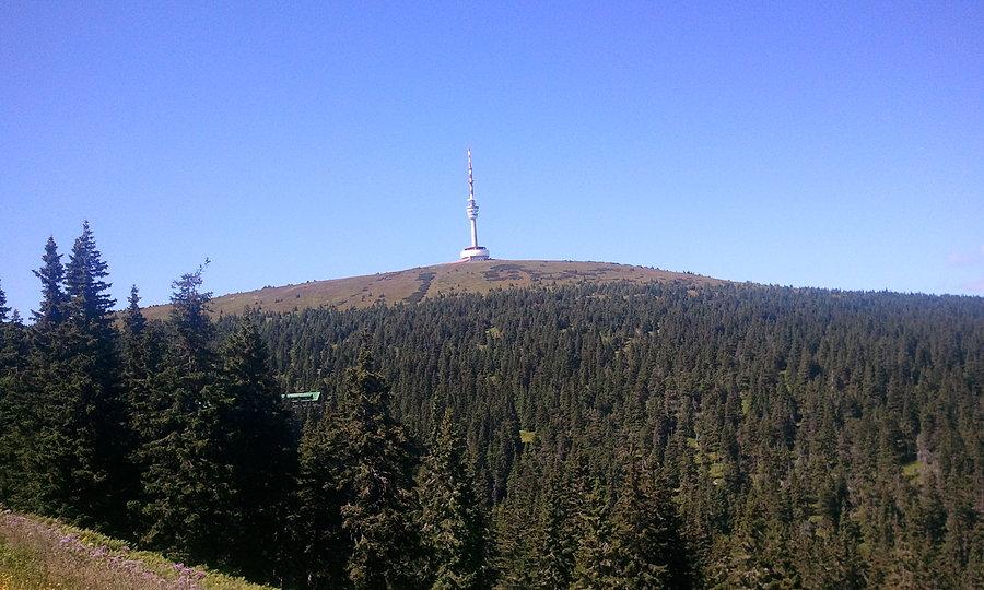 Widok na wieżę telewizyjna