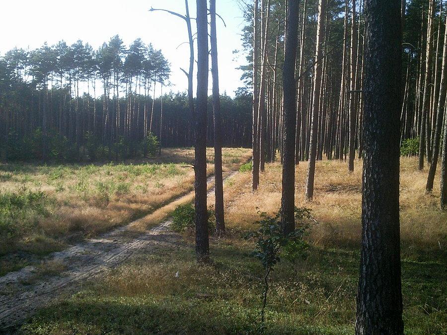Widok w drugą stronę